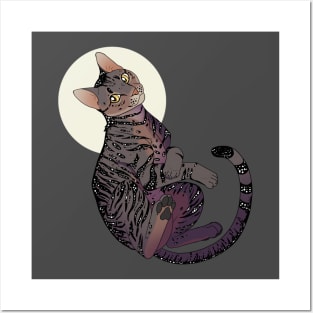 Pet Tabby Cat T-shirt Posters and Art